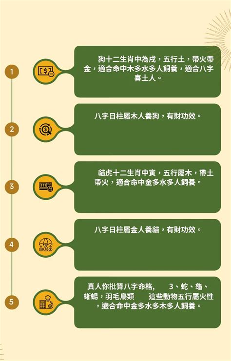 動物五行|【動物五行】寵物也能看五行？快來測測你最適合養什麼毛小孩！。